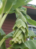 DSCN9526.JPG