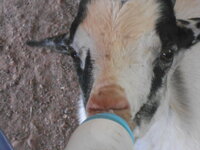 DSCN9994.JPG
