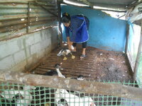 DSCN0018.JPG