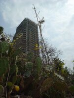 DSC05865.jpg