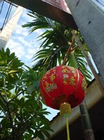 DSC05954.jpg