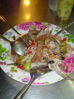 DSC05990.jpg
