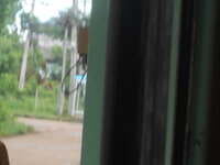 DSCN0051.JPG