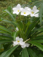 DSCN9594.JPG