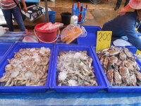 DSCN0112.JPG