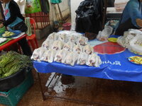 DSCN0109.JPG