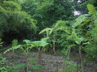 DSCN8576.JPG