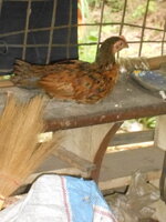 DSCN8585.JPG