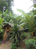 DSCN8588.JPG