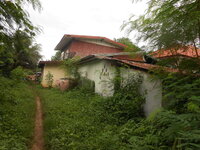 DSCN8593.JPG