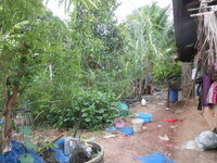 DSCN8591.JPG