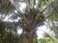 DSCN8594.JPG