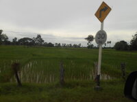 DSCN8603.JPG