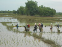 DSCN8600.JPG