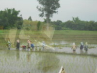 DSCN8598.JPG