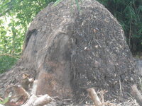 DSCN9364.JPG