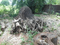 DSCN9363.JPG