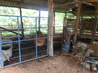 DSCN9367.JPG