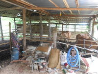 DSCN9366.JPG