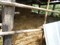 DSCN9386.JPG