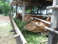 DSCN9385.JPG