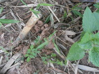 DSCN9393.JPG