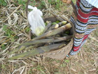 DSCN9424.JPG