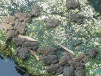 DSCN9402.JPG