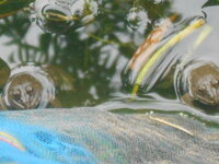 DSCN9427.JPG