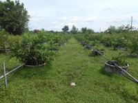 DSCN9408.JPG