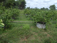 DSCN9412.JPG