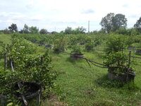 DSCN9406.JPG