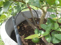 DSCN9411.JPG
