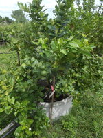 DSCN9410.JPG
