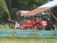 DSCN9383.JPG DSCN9383.JPG