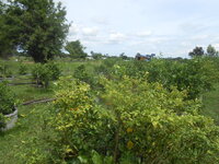 DSCN9409.JPG