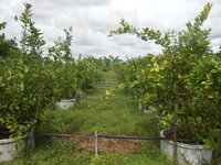 DSCN9414.JPG