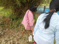 DSCN9423.JPG