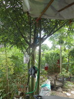 DSCN9439.JPG