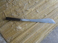 DSCN9893.JPG