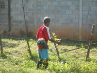 DSCN9968.JPG
