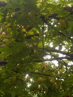 DSCN9553.JPG