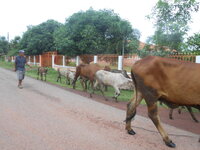 DSCN9926.JPG