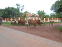 DSCN9927.JPG