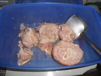 DSCN9099.JPG