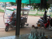 DSCN9170.JPG
