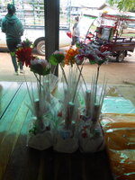 DSCN9159.JPG DSCN9159.JPG