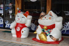 DSC00408.JPG