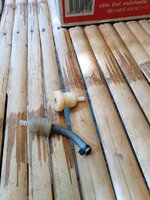 IMG_20240912_153429_150.jpg
