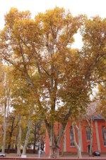 Duitsland-Bad Kreuznach (19).JPG